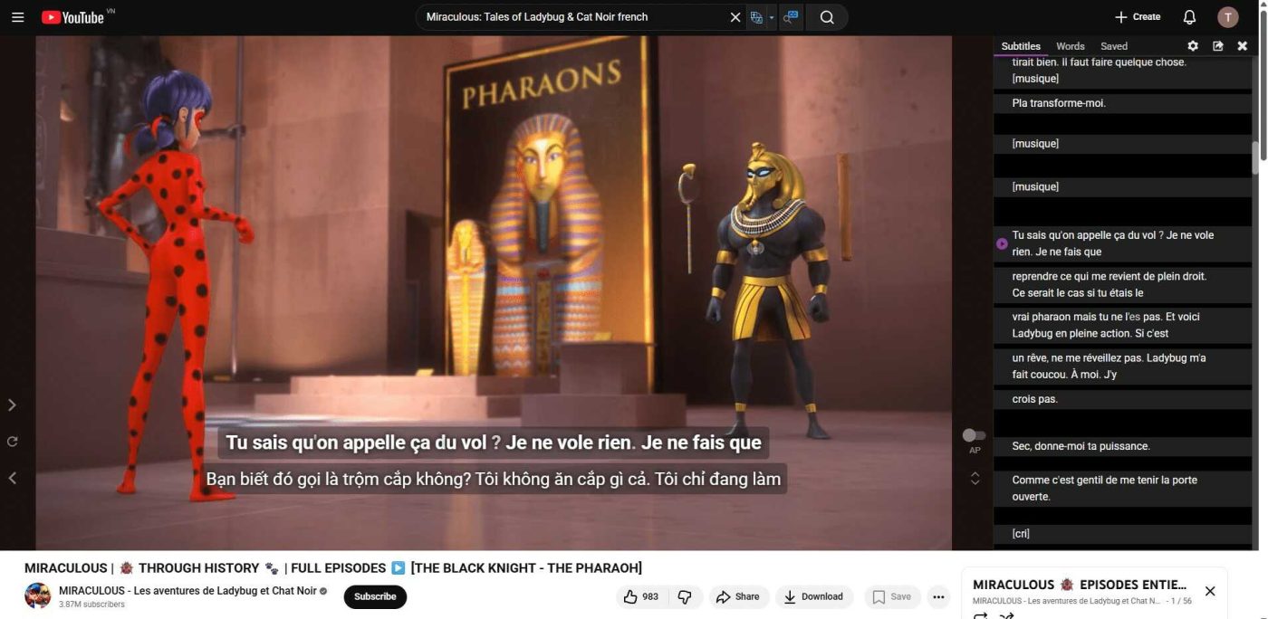 Language reactor công cụ học tiếng pháp