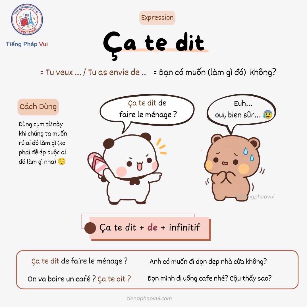 Ca te dit - cách dùng trong tiếng Pháp